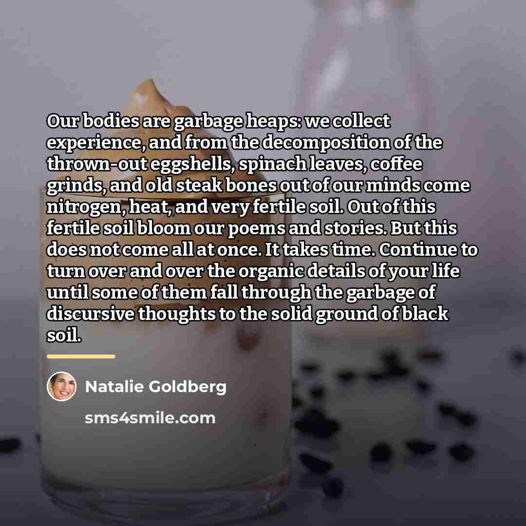 “Our bodies are garbage heaps: we collect experience, and from…” quote by Natalie Goldberg