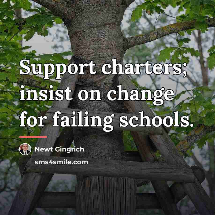 “Support charters; insist on change for failing schools.…” quote by Newt Gingrich