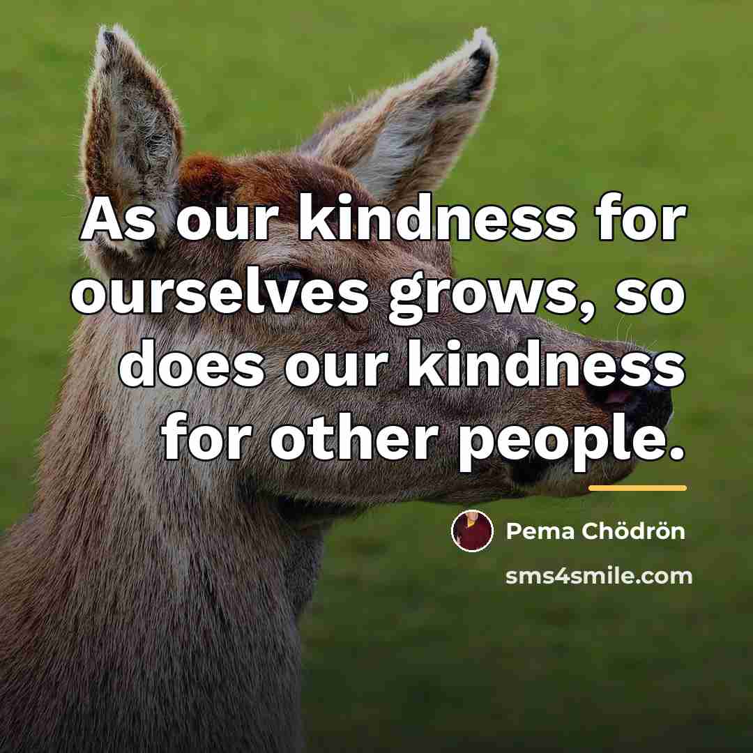 “As our kindness for ourselves grows, so does our kindness…” quote by Pema Chodron