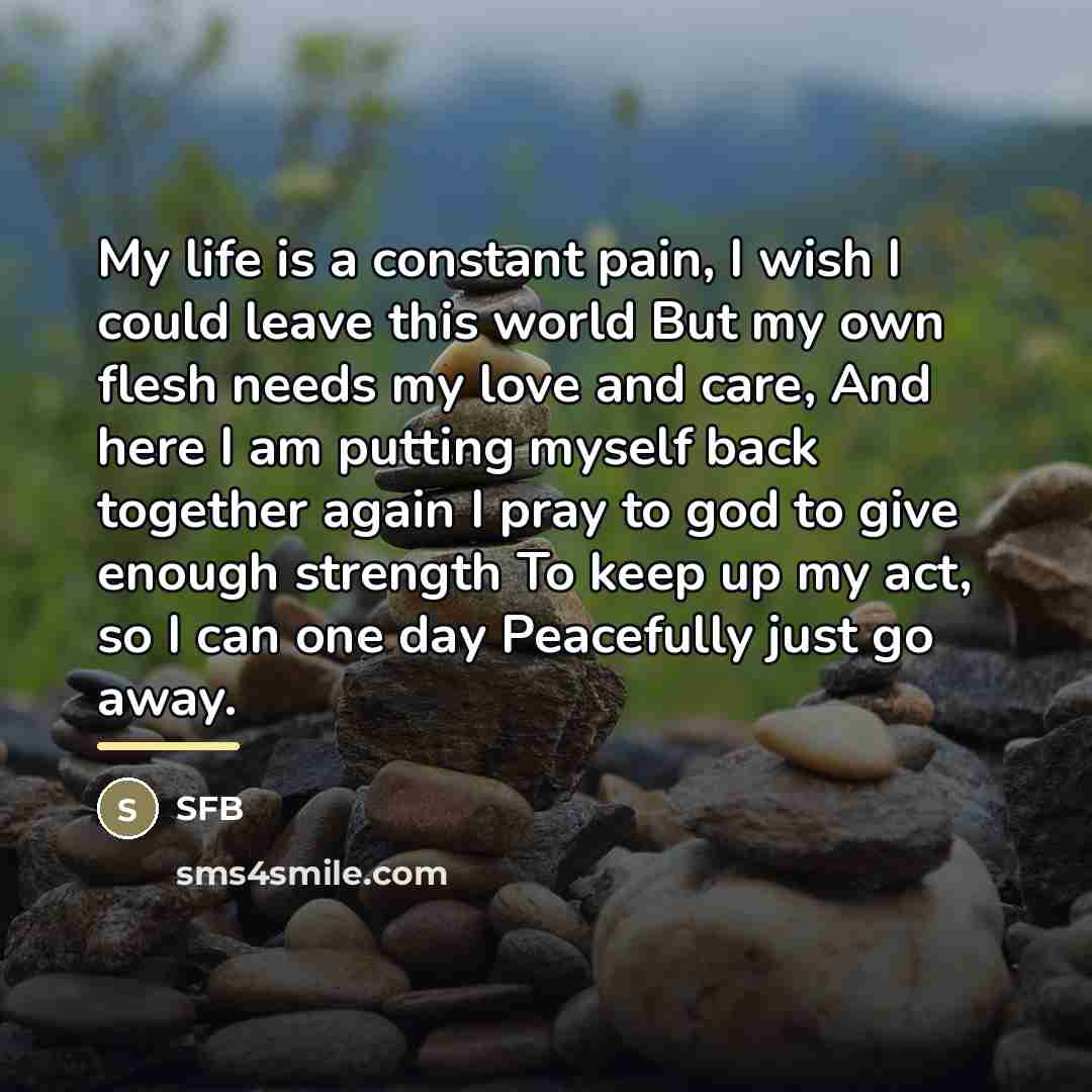 “My life is a constant pain, I wish I could…” quote by Sfb
