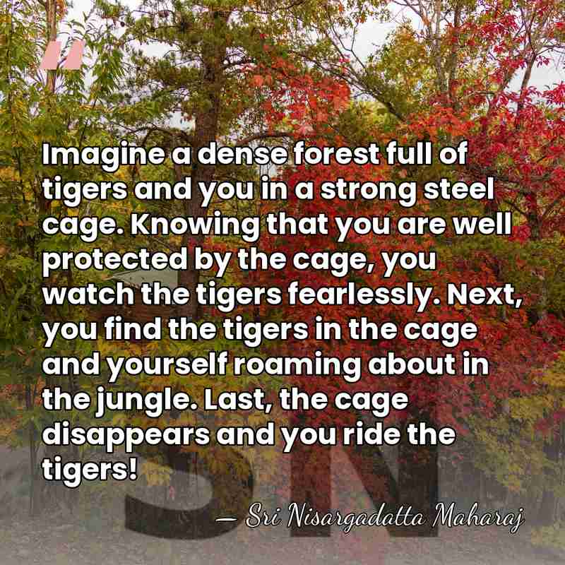 Imagine a dense forest full of tigers and you in a strong&hellip; - Sri Nisargadatta Maharaj