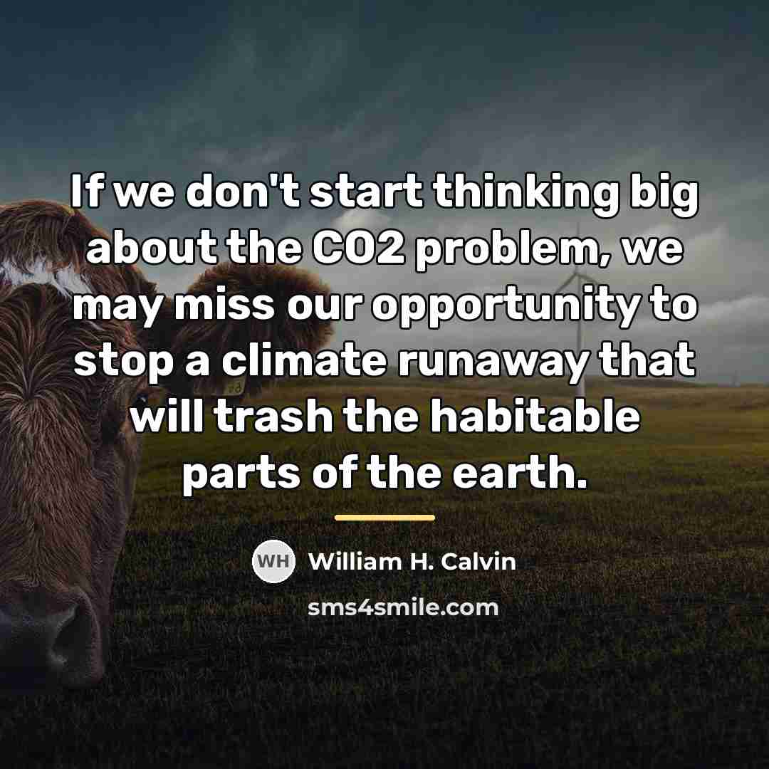 “If we don't start thinking big about the CO2 problem,…” quote by William H. Calvin