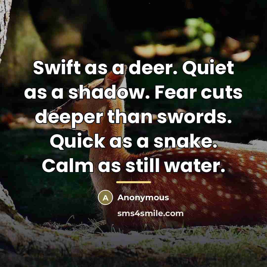 “Swift as a deer. Quiet as a shadow. Fear cuts…” quote by Anonymous