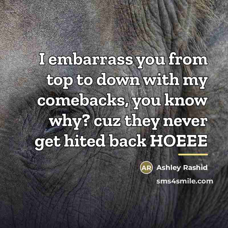 “I embarrass you from top to down with my comebacks,…” quote by Ashley Rashid