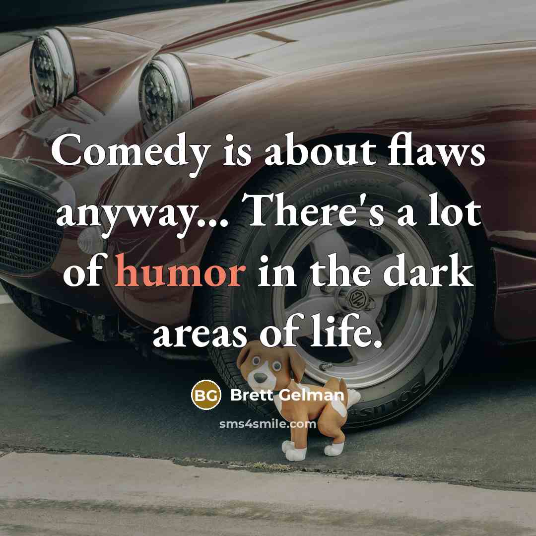 “Comedy is about flaws anyway... There's a lot of humor…” quote by Brett Gelman