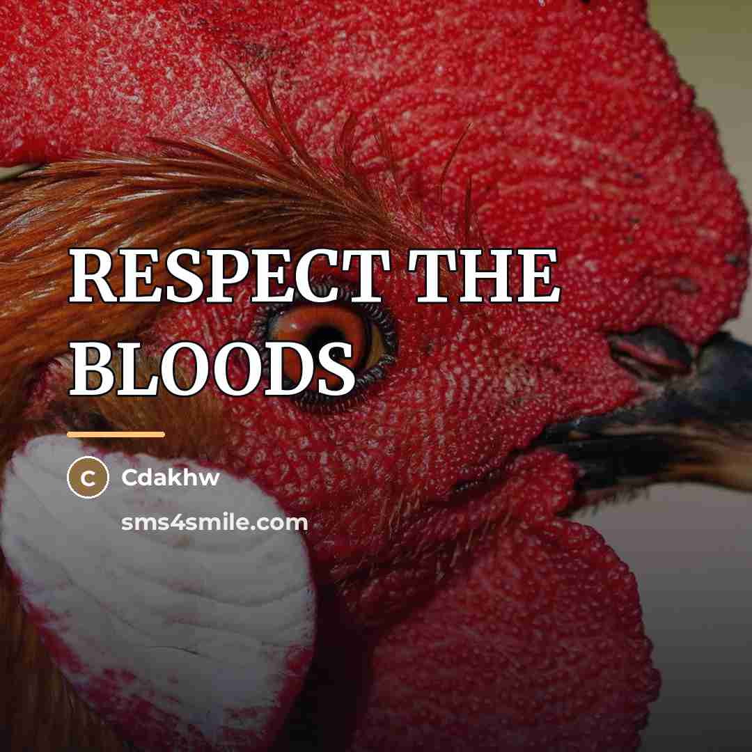 “RESPECT THE BLOODS…” quote by Cdakhw