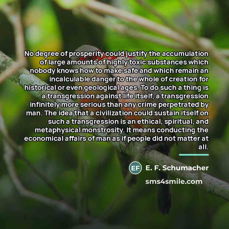 “No degree of prosperity could justify the accumulation of large…” quote by E. F. Schumacher