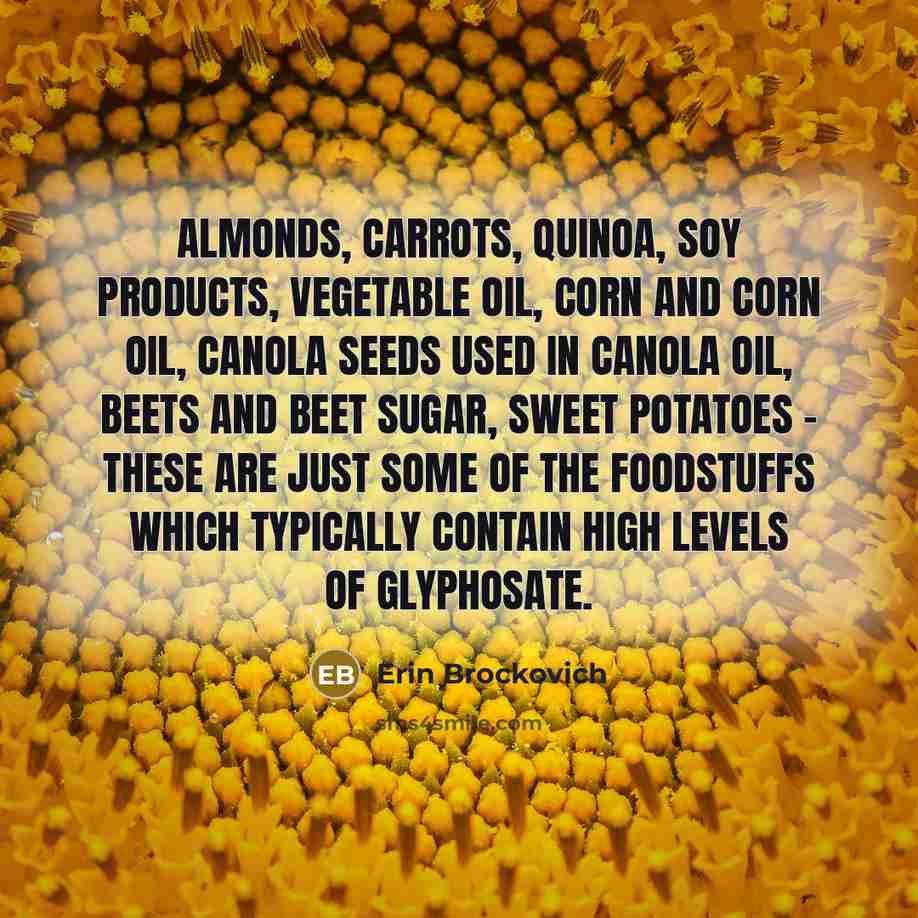 “Almonds, carrots, quinoa, soy products, vegetable oil, corn and corn…” quote by Erin Brockovich