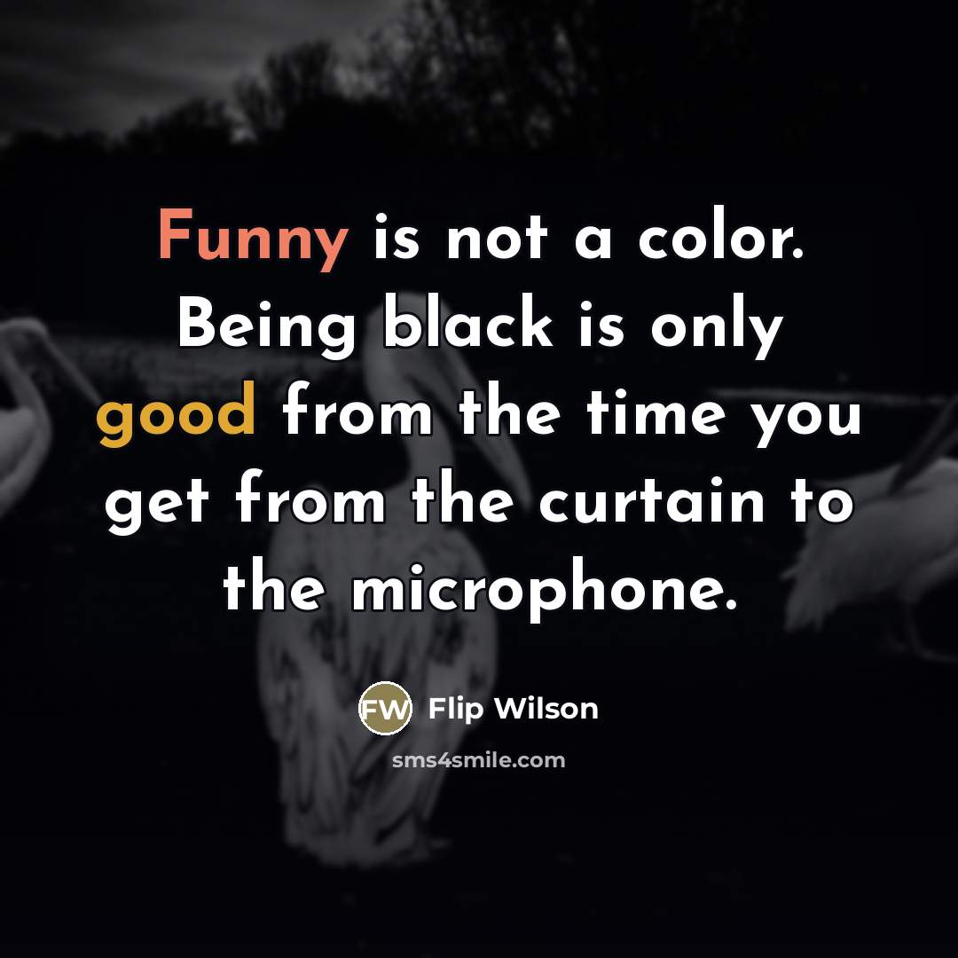 “Funny is not a color. Being black is only good…” quote by Flip Wilson