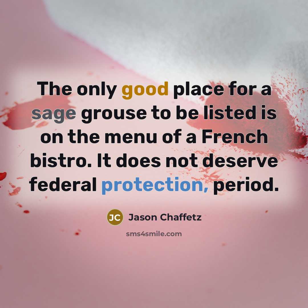 “The only good place for a sage grouse to be listed is on the menu of a French bistro. It does not deserve federal protection, period.” quote by Jason Chaffetz