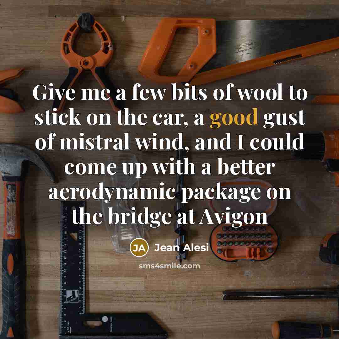 “Give me a few bits of wool to stick on…” quote by Jean Alesi