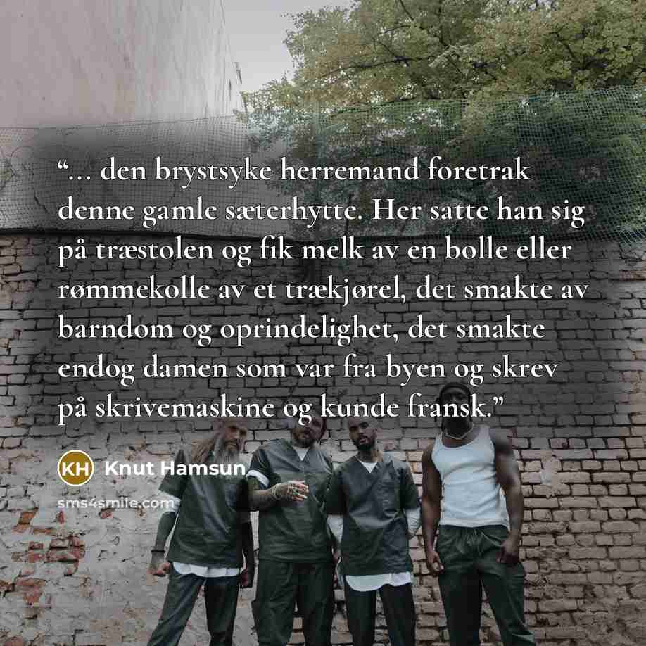 “... den brystsyke herremand foretrak denne gamle sæterhytte. Her satte han sig på træstolen og fik melk av en bolle eller rømmekolle av et trækjørel, det smakte av barndom og oprindelighet, det smakte endog damen som var fra byen og skrev på skrivemaskine og kunde fransk.” quote by Knut Hamsun