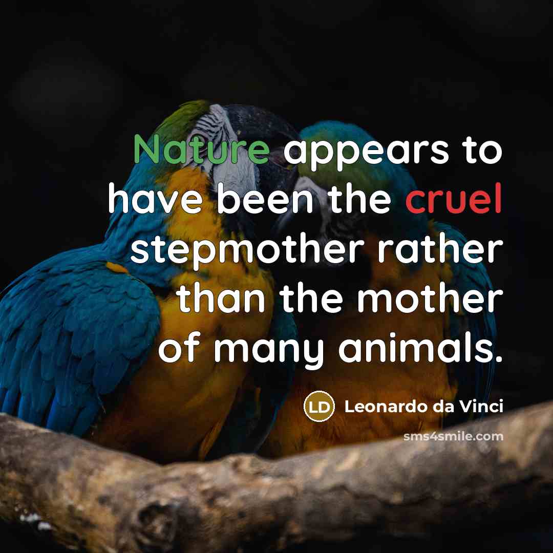 “Nature appears to have been the cruel stepmother rather than…” quote by Leonardo da Vinci