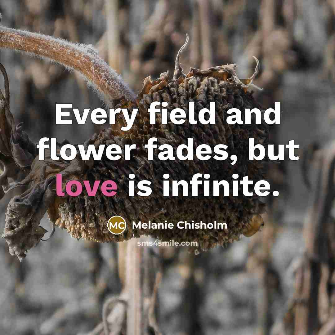 “Every field and flower fades, but love is infinite.…” quote by Melanie Chisholm