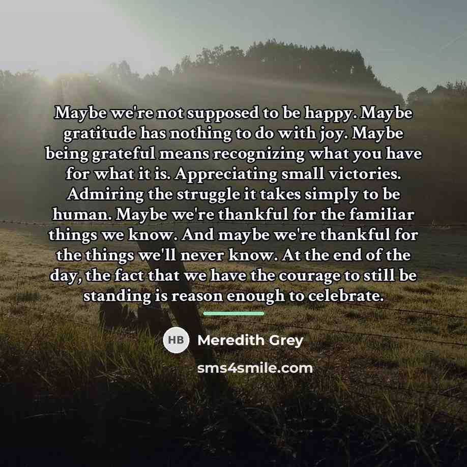 “Maybe we're not supposed to be happy. Maybe gratitude has…” quote by Meredith Grey