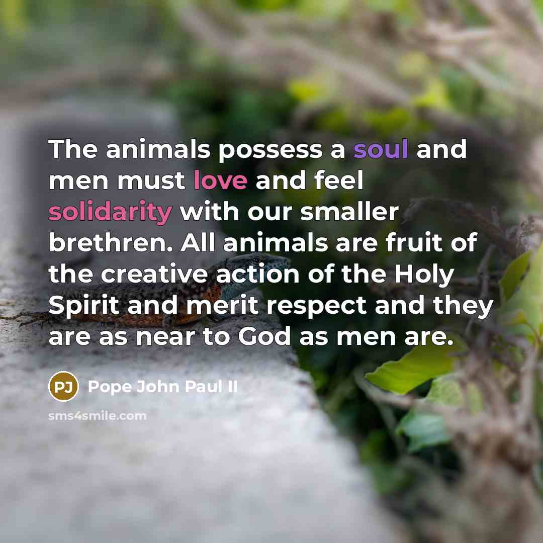 “The animals possess a soul and men must love and…” quote by Pope John Paul II