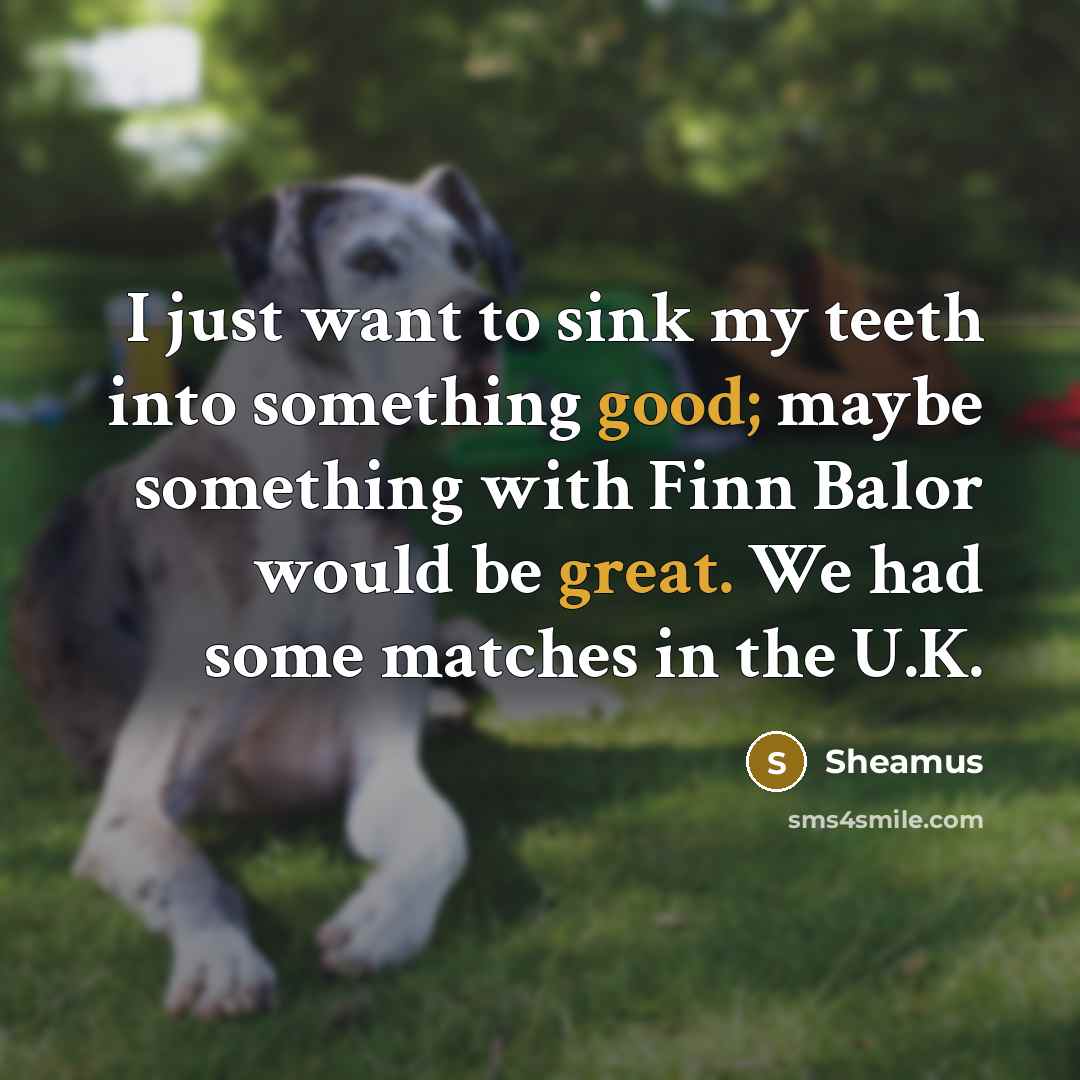 “I just want to sink my teeth into something good; maybe something with Finn Balor would be great. We had some matches in the U.K.” quote by Sheamus