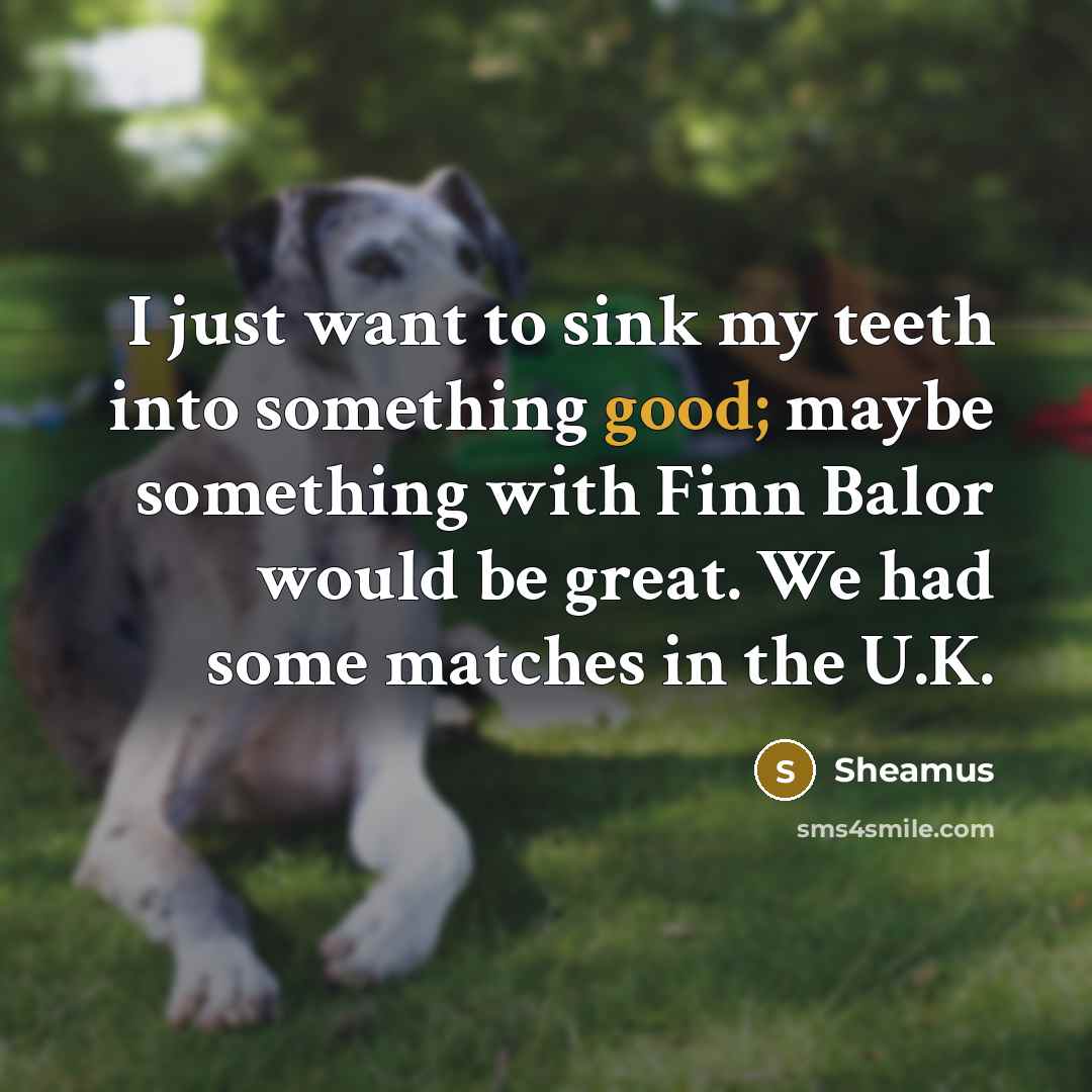 “I just want to sink my teeth into something good;…” quote by Sheamus
