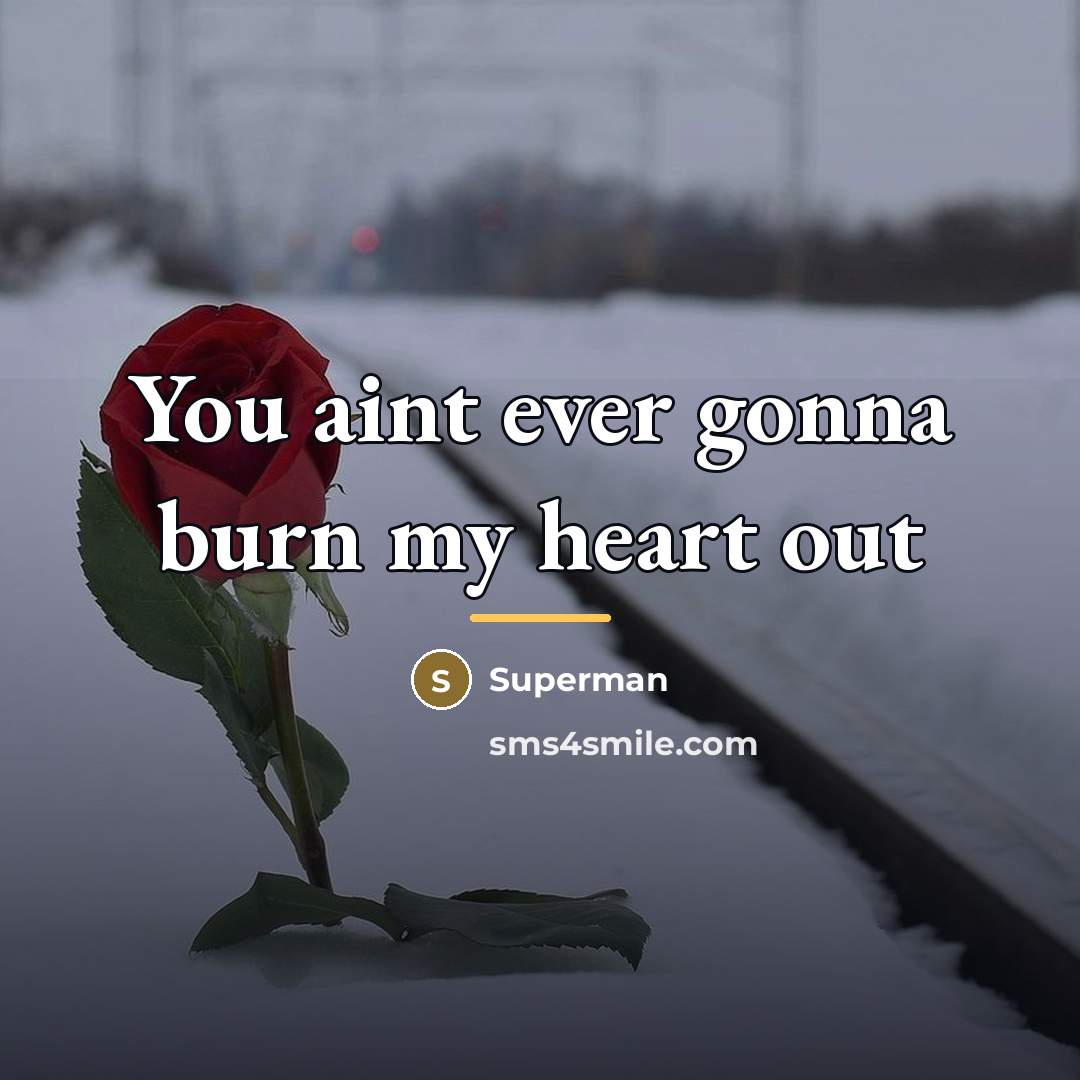 “You aint ever gonna burn my heart out…” quote by Superman