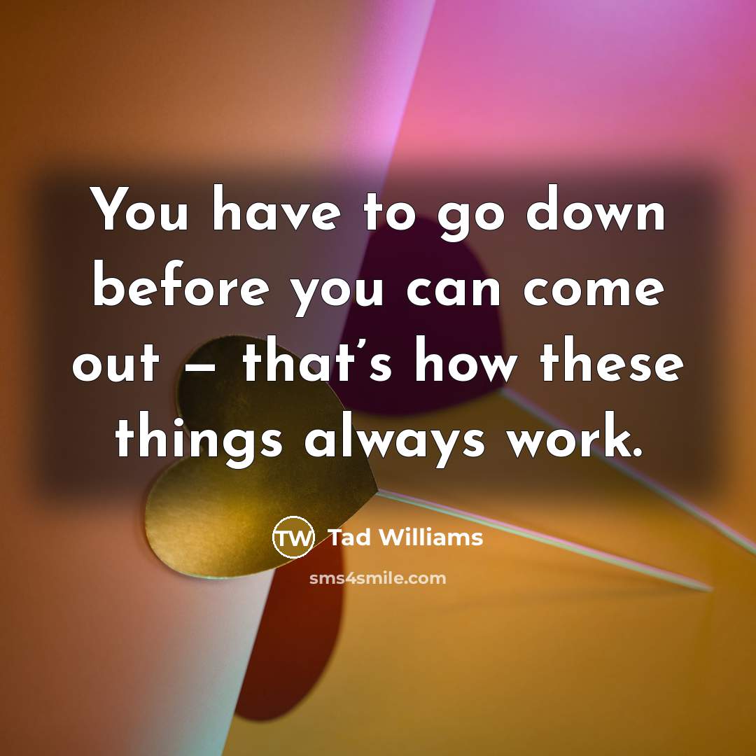 “You have to go down before you can come out…” quote by Tad Williams