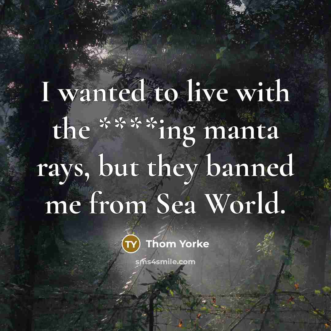“I wanted to live with the ****ing manta rays, but…” quote by Thom Yorke