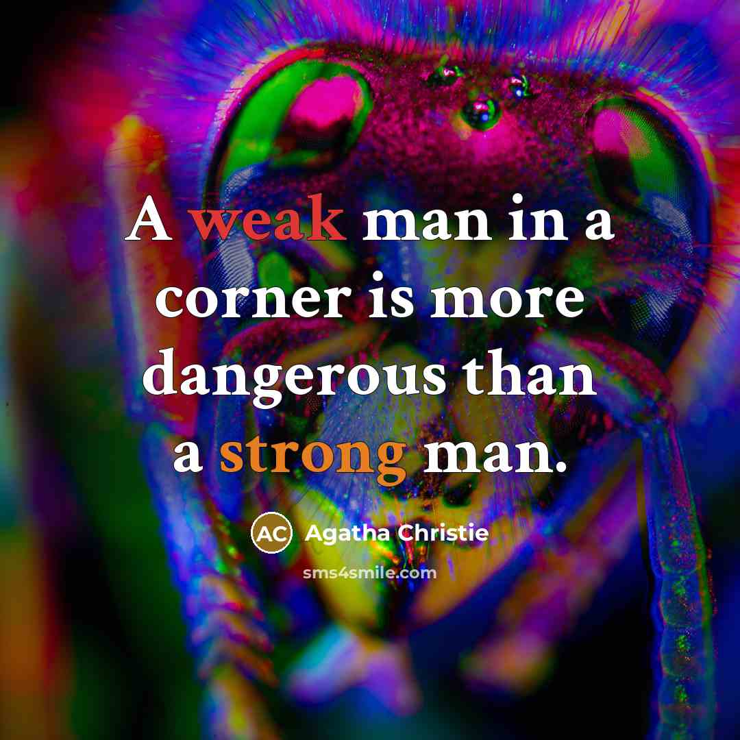 “A weak man in a corner is more dangerous than…” quote by Agatha Christie