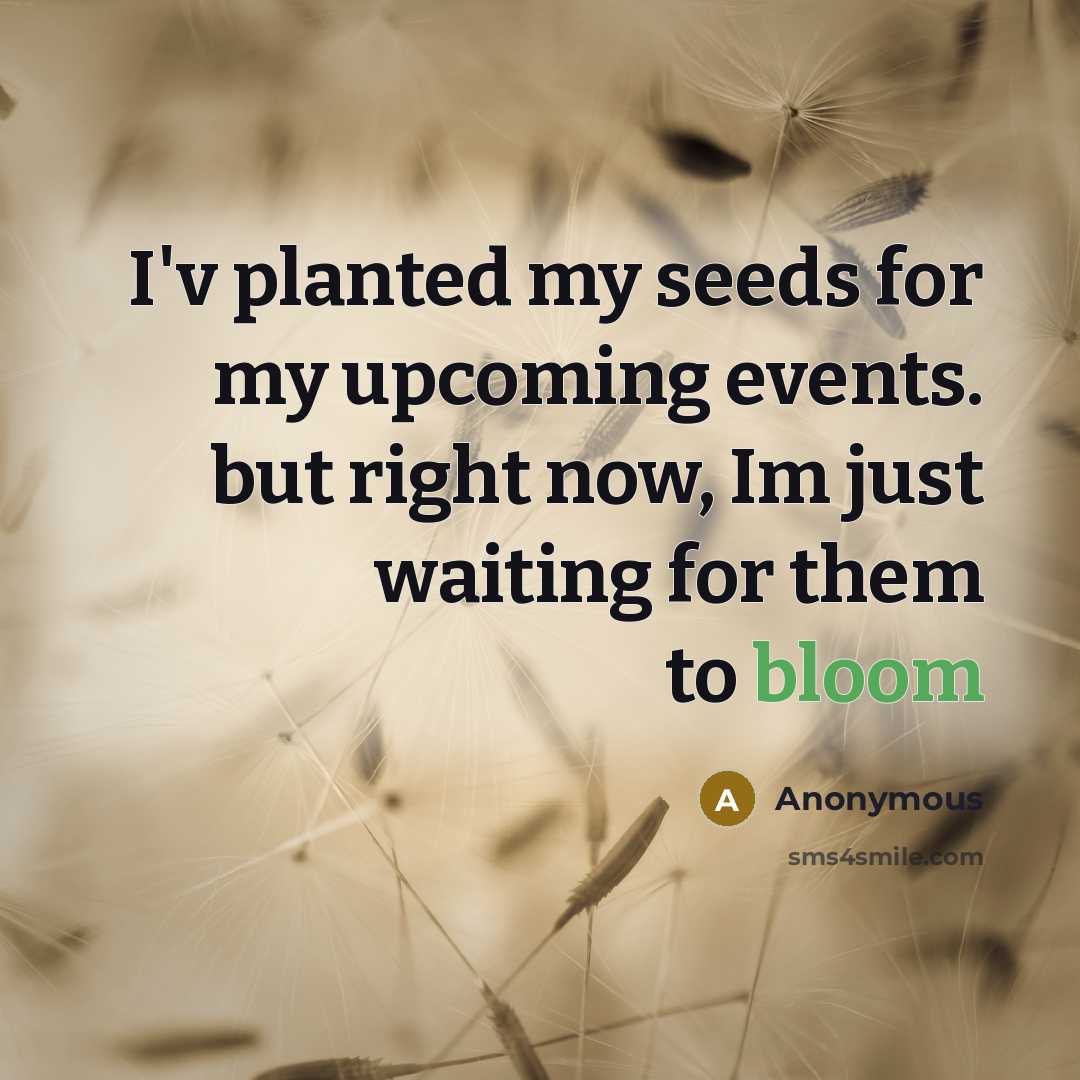 “I'v planted my seeds for my upcoming events. but right…” quote by Anonymous