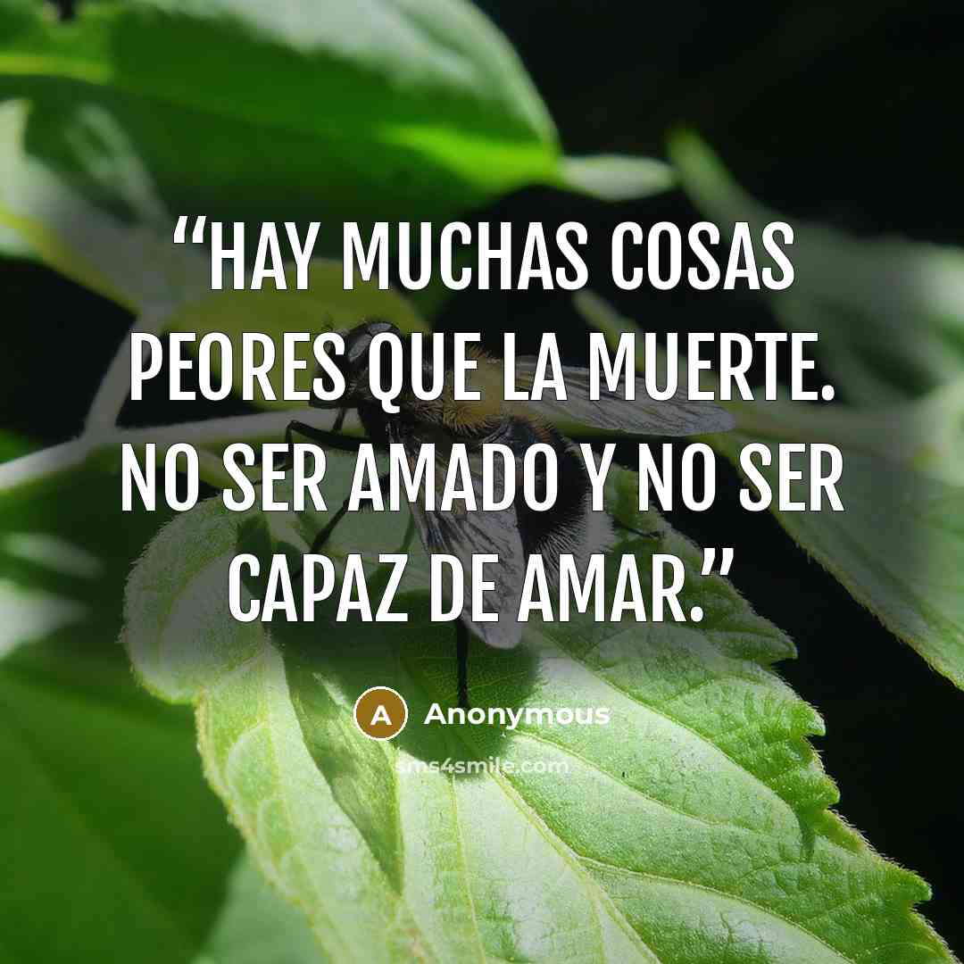 “Hay muchas cosas peores que la muerte. No ser amado y no ser capaz de amar.” quote by Anonymous