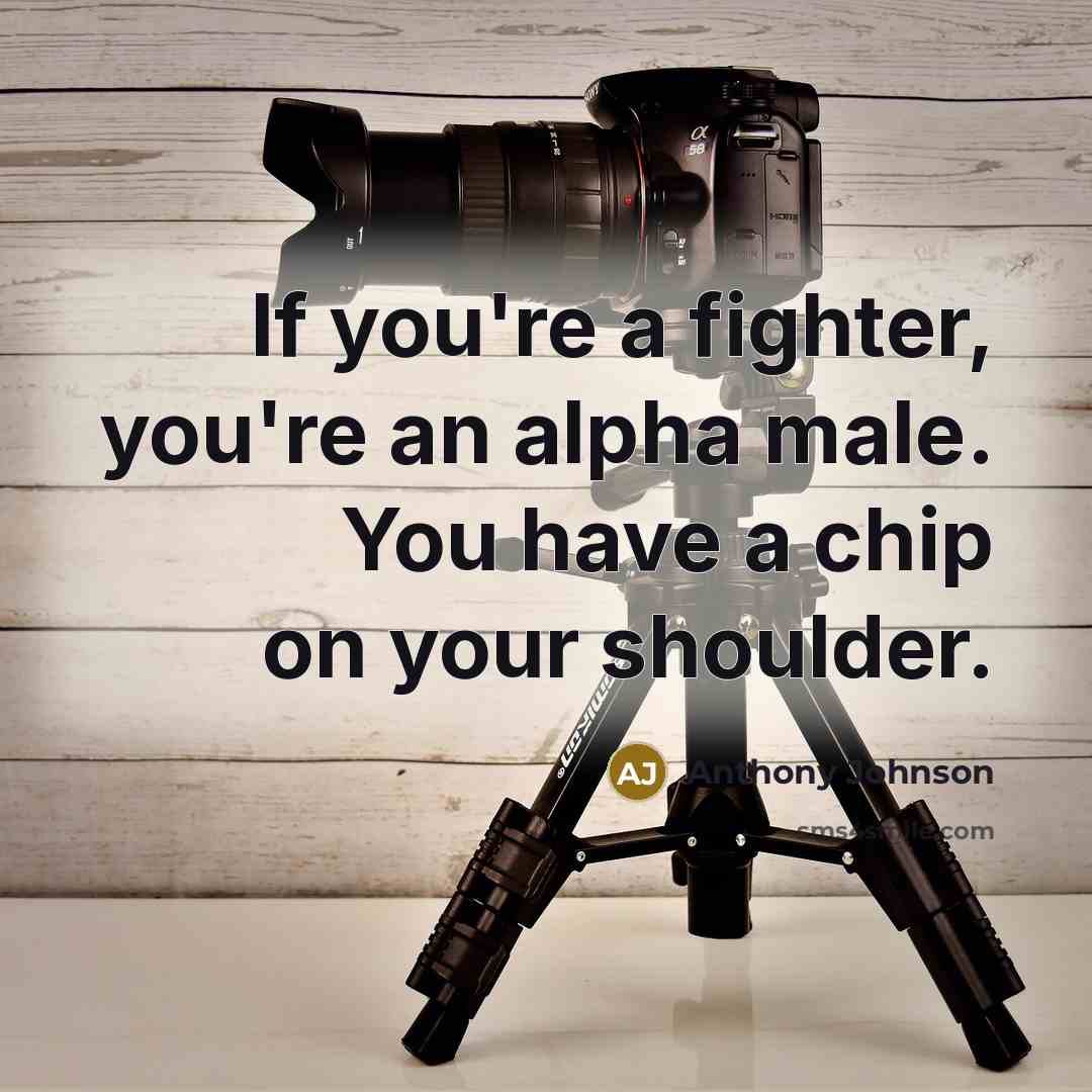 “If you're a fighter, you're an alpha male. You have…” quote by Anthony Johnson