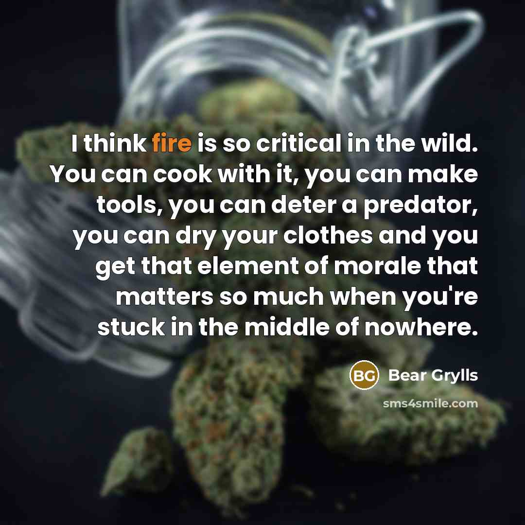 “I think fire is so critical in the wild. You…” quote by Bear Grylls
