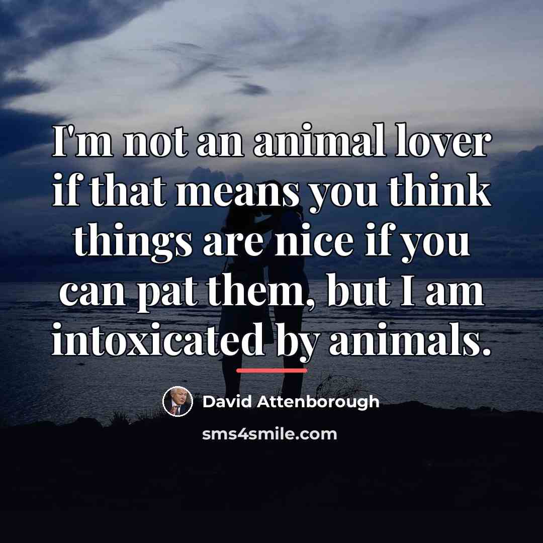 “I'm not an animal lover if that means you think…” quote by David Attenborough