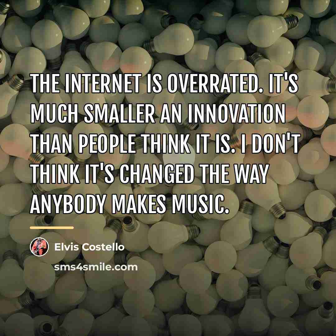 “The Internet is overrated. It's much smaller an innovation than…” quote by Elvis Costello