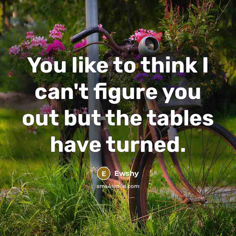 “You like to think I can't figure you out but…” quote by Ewshy