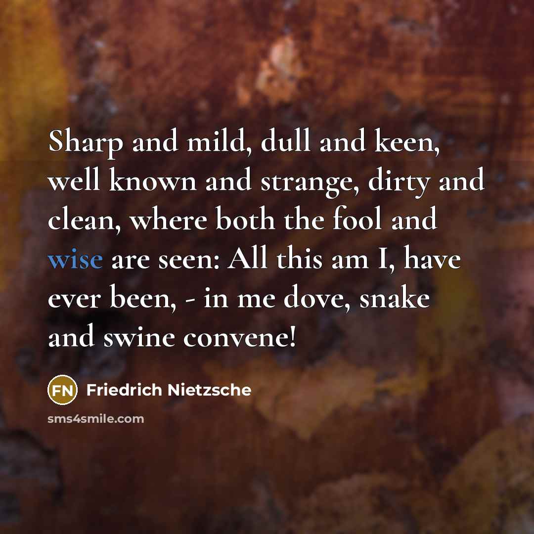 “Sharp and mild, dull and keen, well known and strange,…” quote by Friedrich Nietzsche
