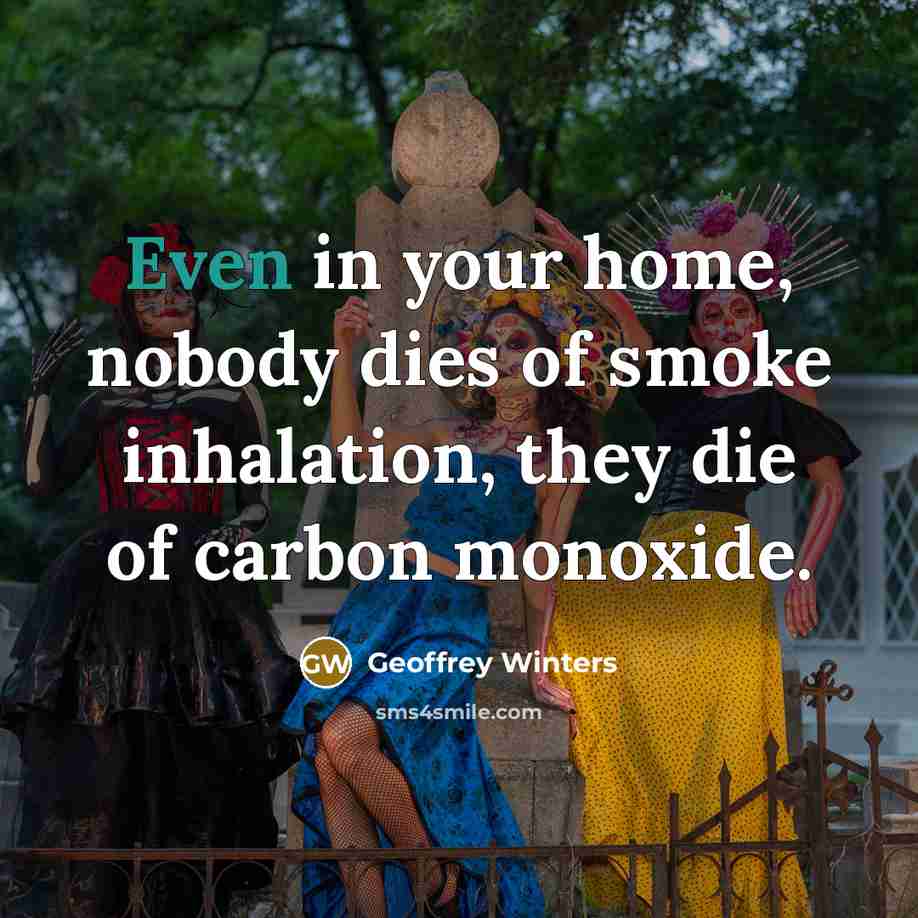 “Even in your home, nobody dies of smoke inhalation, they die of carbon monoxide.” quote by Geoffrey Winters