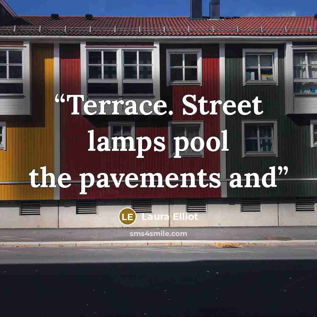 “Terrace. Street lamps pool the pavements and” quote by Laura Elliot