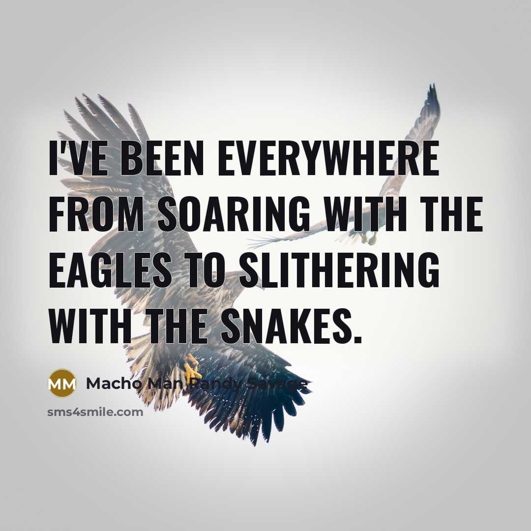 “I've been everywhere from soaring with the eagles to slithering with the snakes.” quote by Macho Man Randy Savage