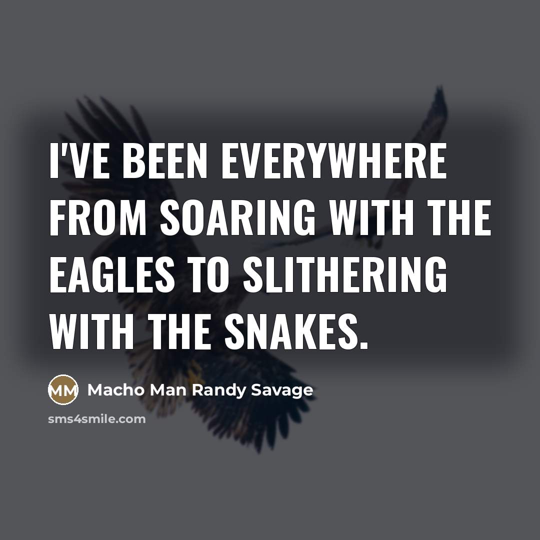 “I've been everywhere from soaring with the eagles to slithering…” quote by Macho Man Randy Savage