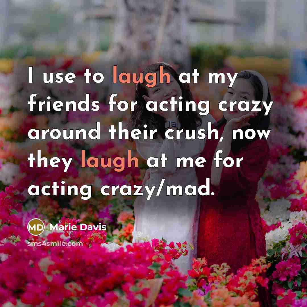 “I use to laugh at my friends for acting crazy…” quote by Marie Davis