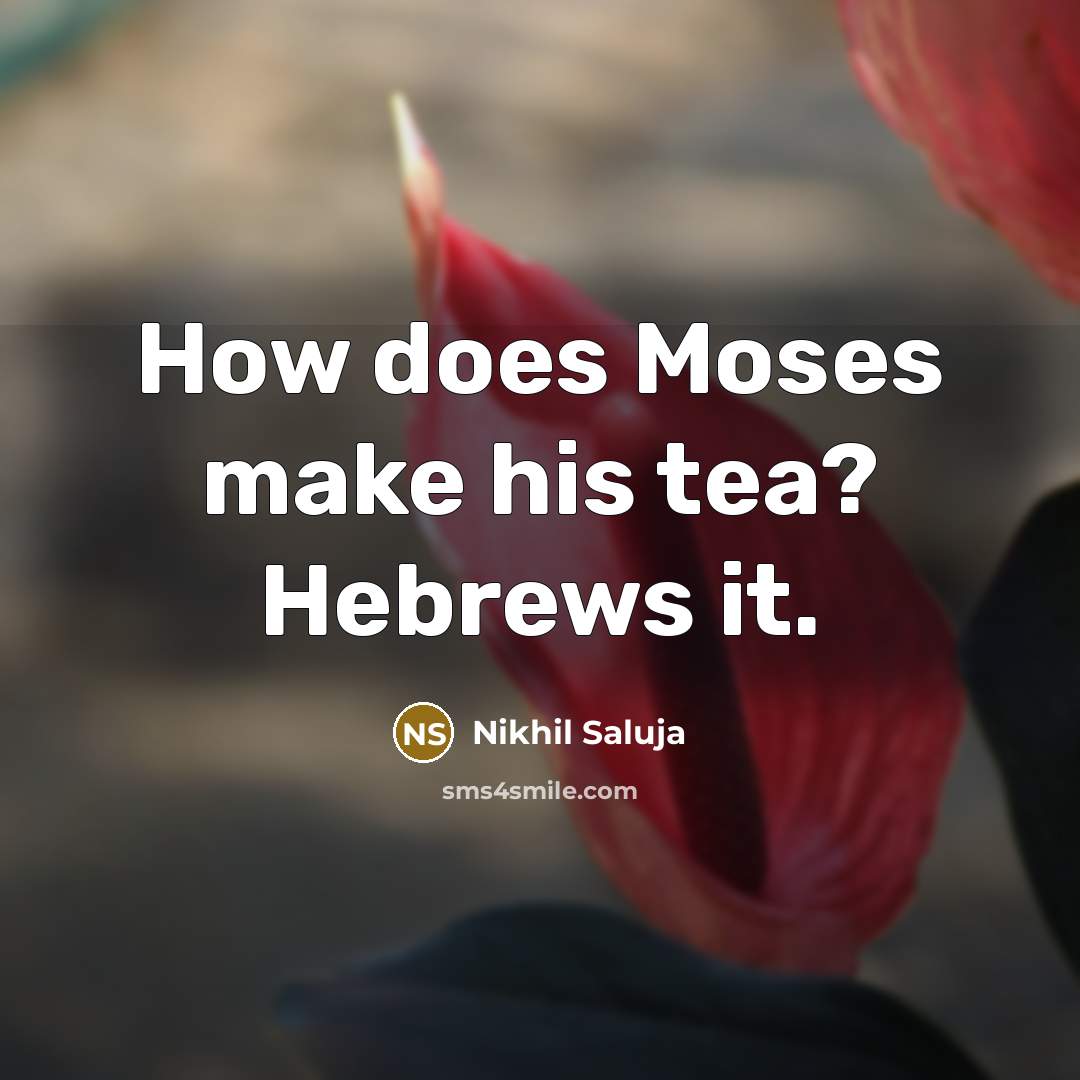 “How does Moses make his tea? Hebrews it.” quote by Nikhil Saluja