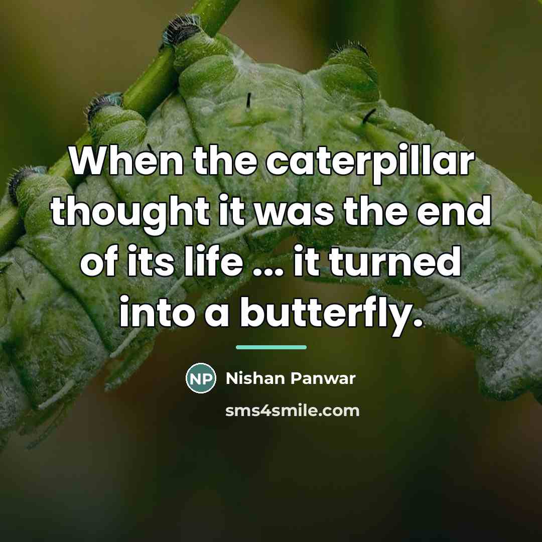 “When the caterpillar thought it was the end of its…” quote by Nishan Panwar