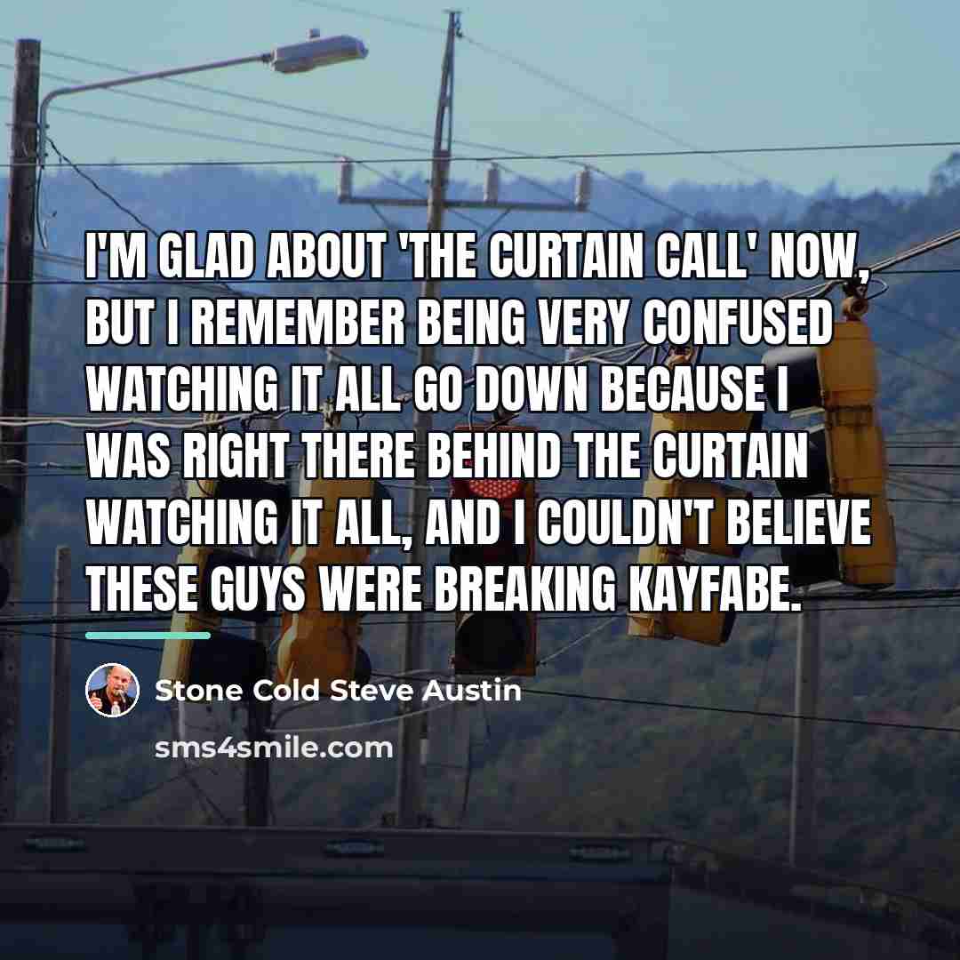 “I'm glad about 'The Curtain Call' now, but I remember…” quote by Stone Cold Steve Austin