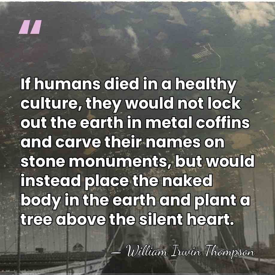 If humans died in a healthy culture, they would not lock out&hellip; - William Irwin Thompson