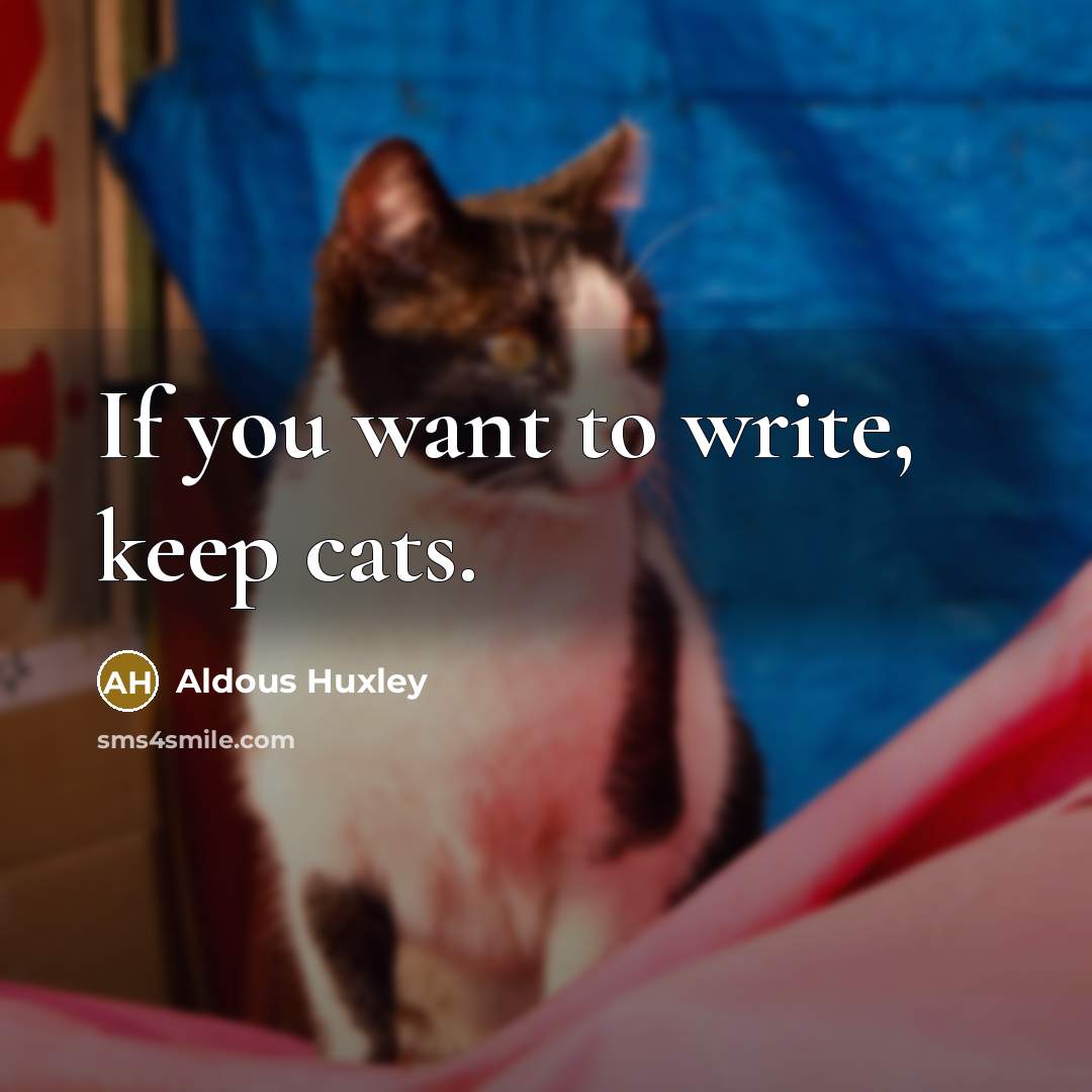 “If you want to write, keep cats.…” quote by Aldous Huxley