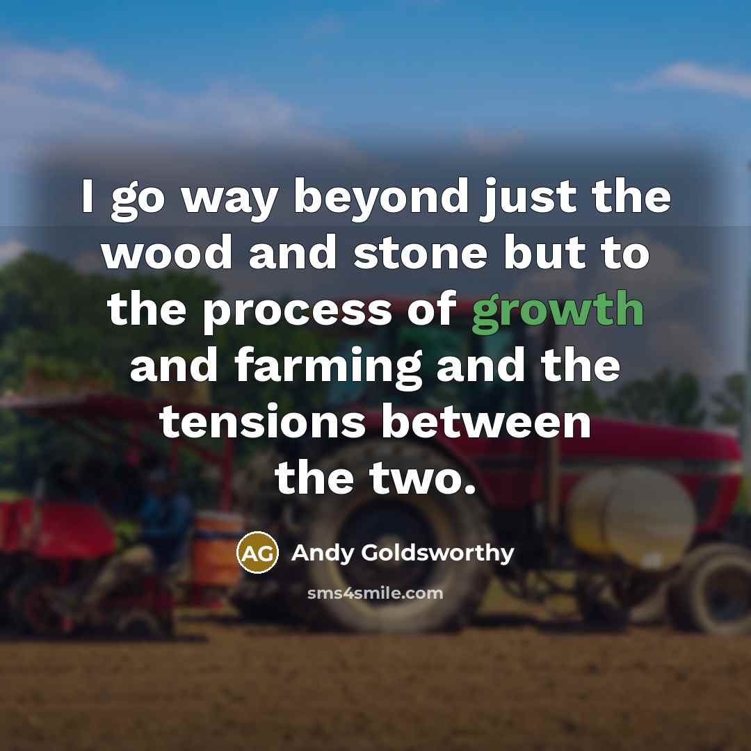 “I go way beyond just the wood and stone but…” quote by Andy Goldsworthy