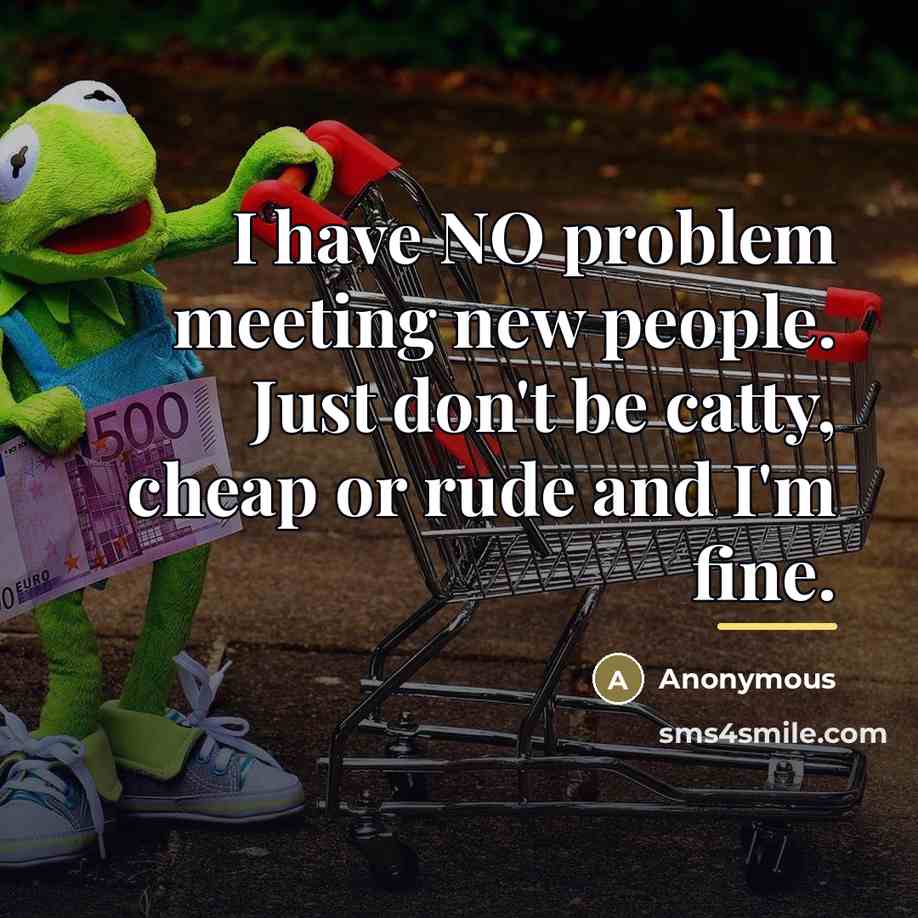 “I have NO problem meeting new people. Just don't be…” quote by Anonymous