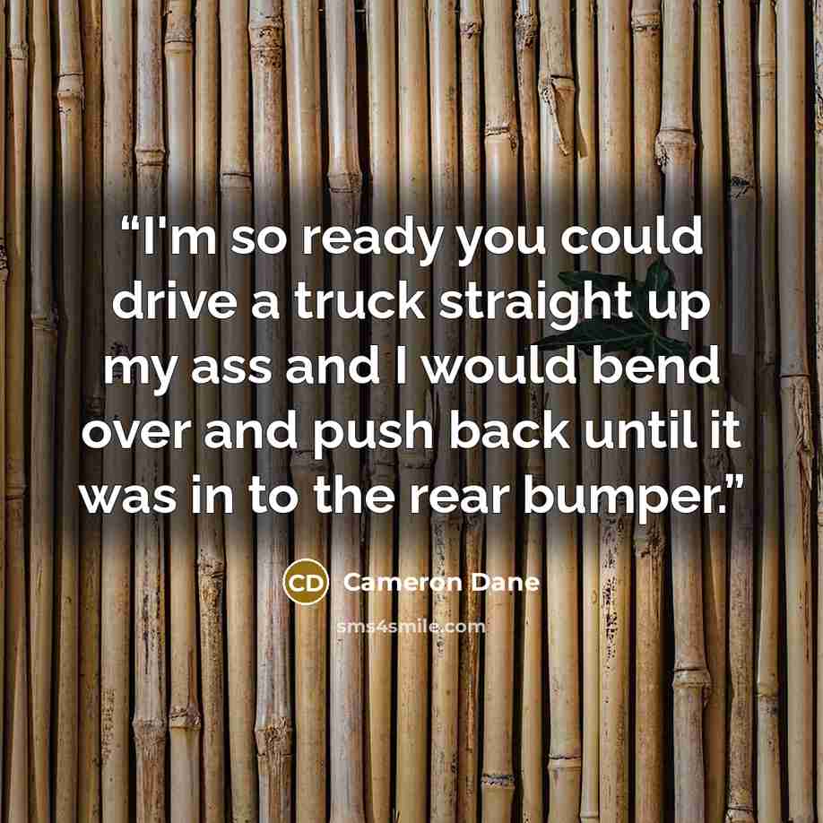 “I'm so ready you could drive a truck straight up my ass and I would bend over and push back until it was in to the rear bumper.” quote by Cameron Dane