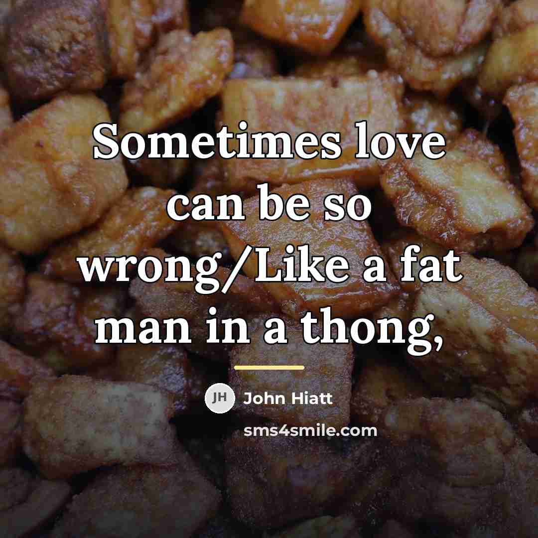“Sometimes love can be so wrong/Like a fat man in…” quote by John Hiatt