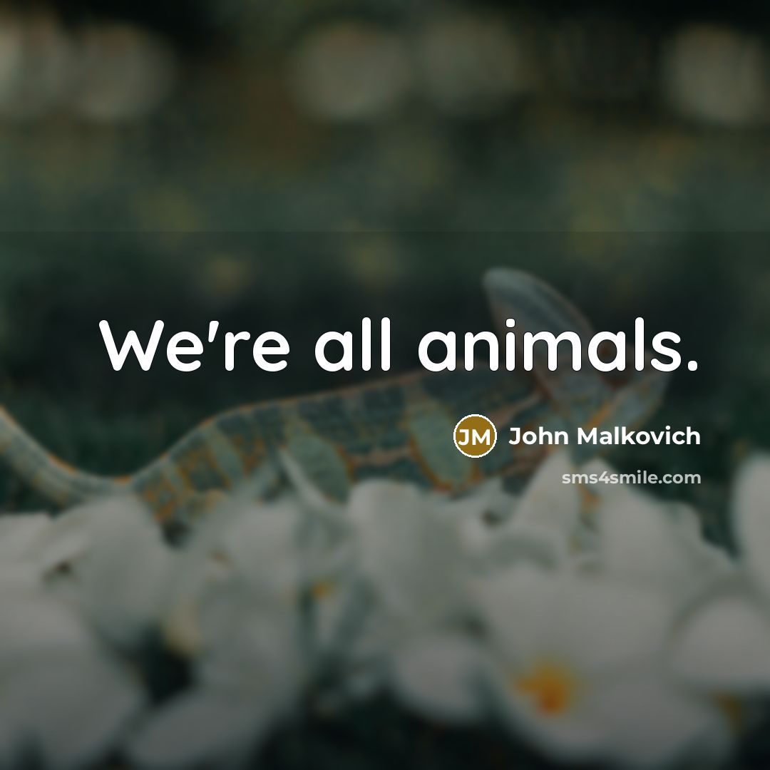 “We're all animals.” quote by John Malkovich