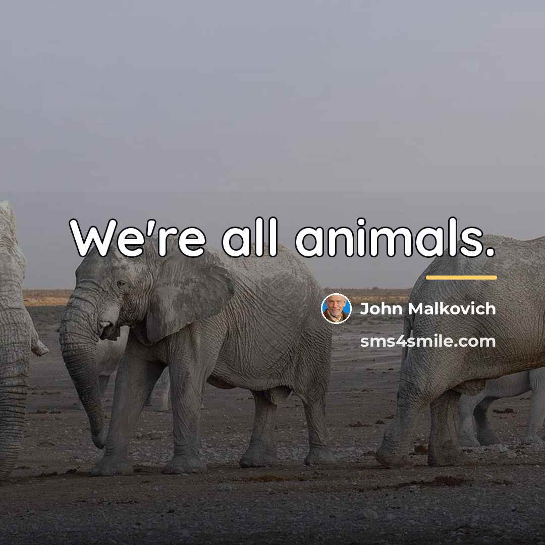 “We're all animals.…” quote by John Malkovich